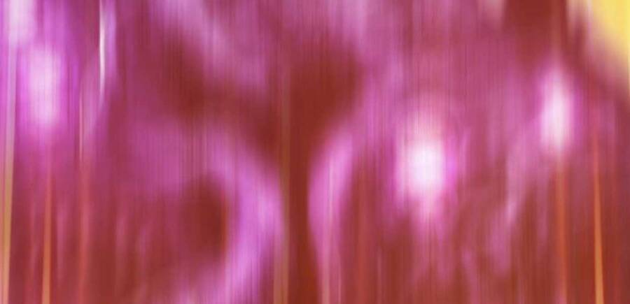 Gậy Gỗ Cấp 99+ Chap 12 - Next Chap 13