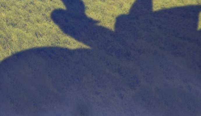 Gậy Gỗ Cấp 99+ Chap 15.5 - Next Chap 16.5