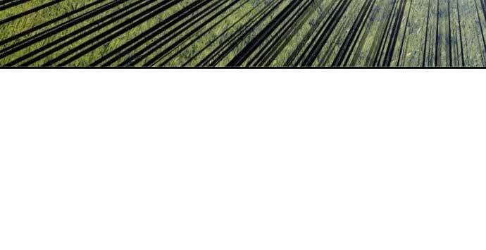 Gậy Gỗ Cấp 99+ Chap 15.5 - Next Chap 16.5