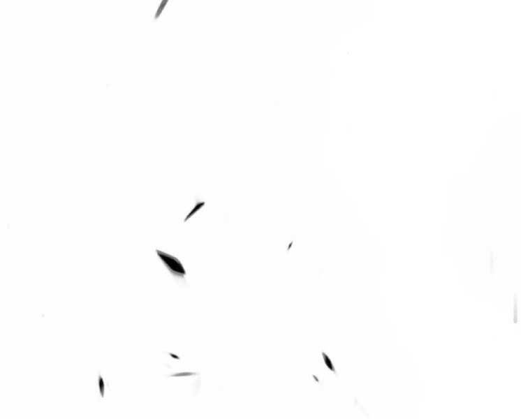 Gậy Gỗ Cấp 99+ Chap 20.1 - Next Chap 21.1