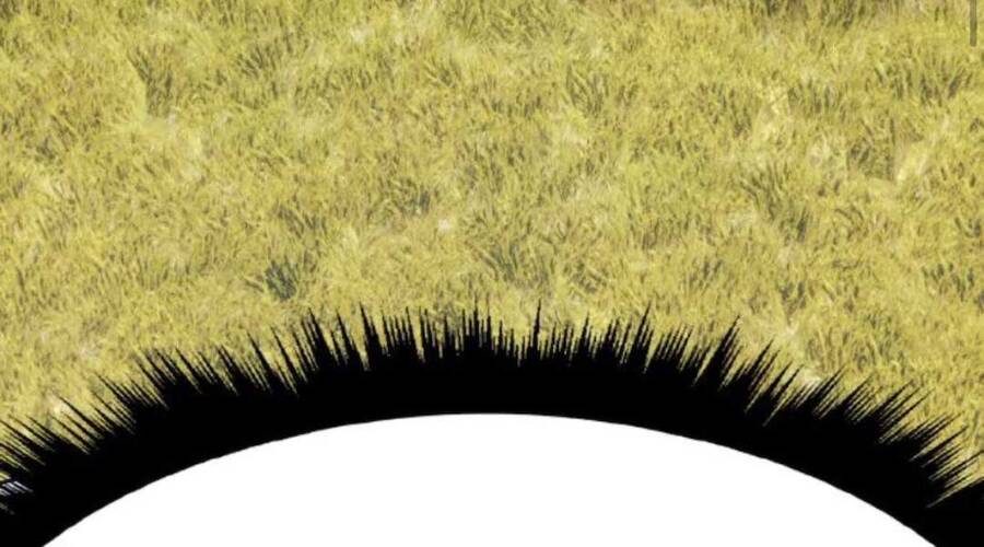 Gậy Gỗ Cấp 99+ Chap 20.1 - Next Chap 21.1