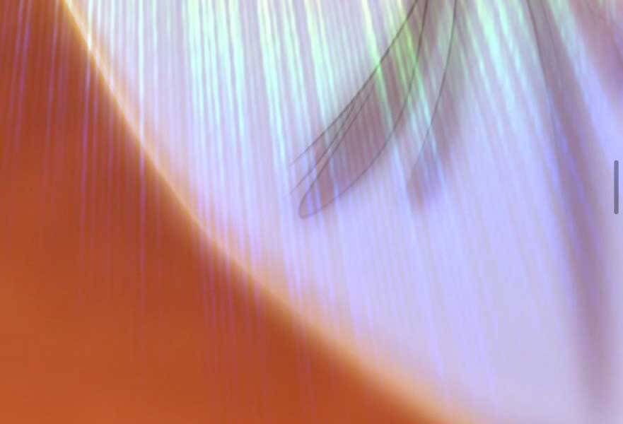 Gậy Gỗ Cấp 99+ Chap 20.3 - Next Chap 21.3