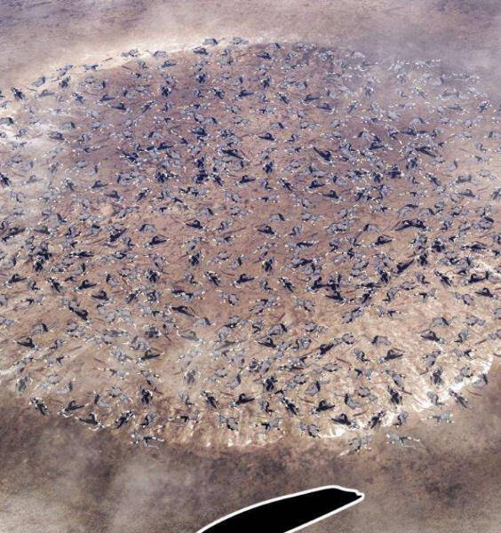 Gậy Gỗ Cấp 99+ Chap 3.1 - Next Chap 4.1