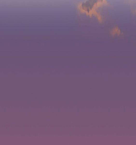 Gậy Gỗ Cấp 99+ Chap 3.5 - Next Chap 4.5