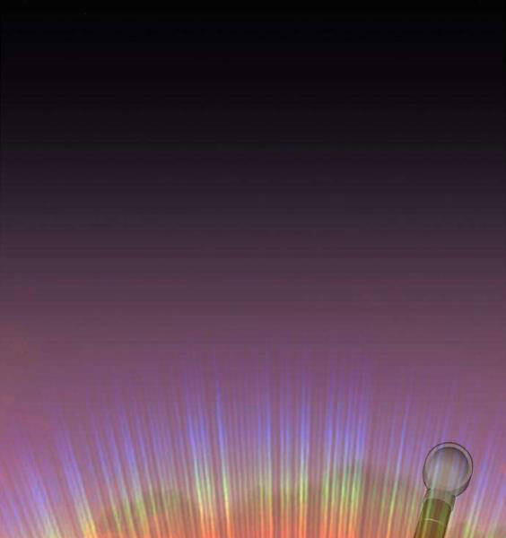 Gậy Gỗ Cấp 99+ Chap 3.5 - Next Chap 4.5