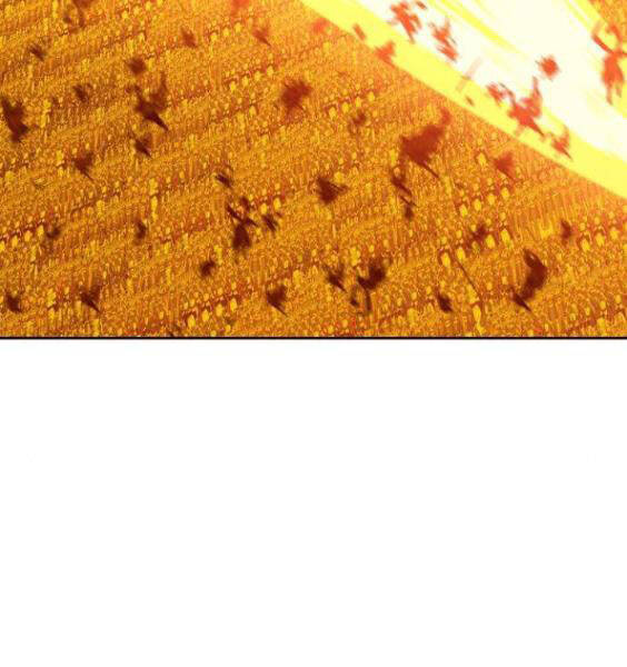 Gậy Gỗ Cấp 99+ Chap 3.5 - Next Chap 4.5