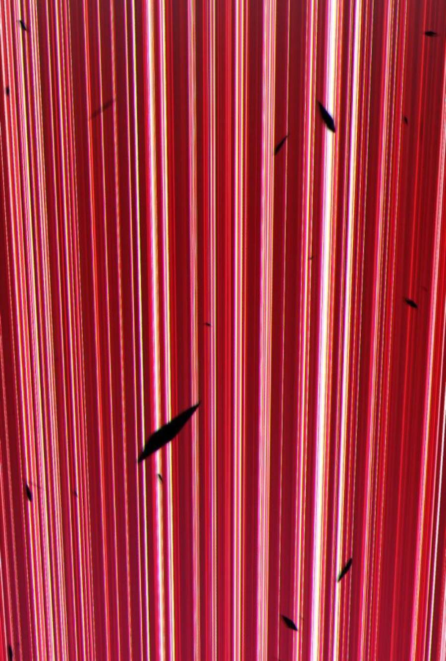 Gậy Gỗ Cấp 99+ Chap 11 - Next Chap 12