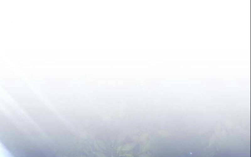 Gậy Gỗ Cấp 99+ Chap 6.1 - Next Chap 7.1