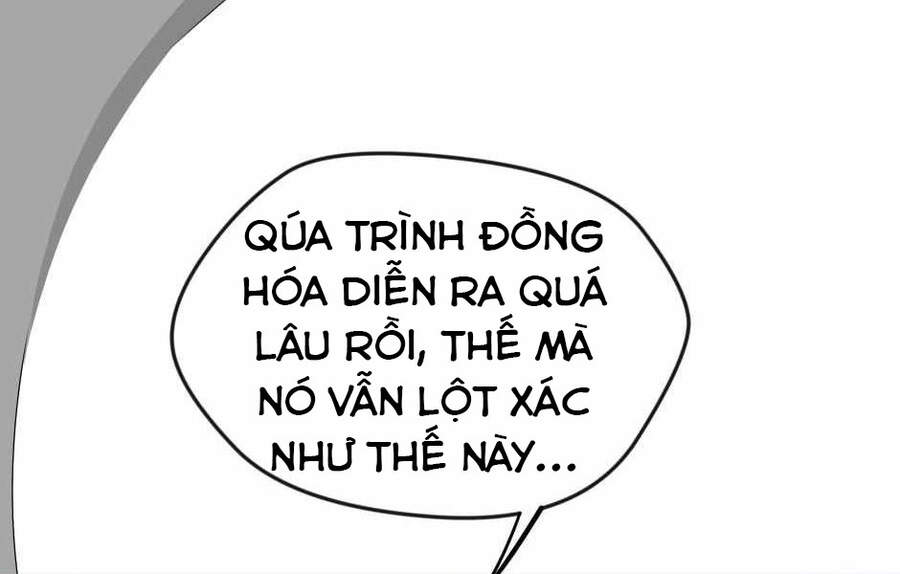 Ánh Sáng Cuối Con Đường Chap 123 - Next Chap 124