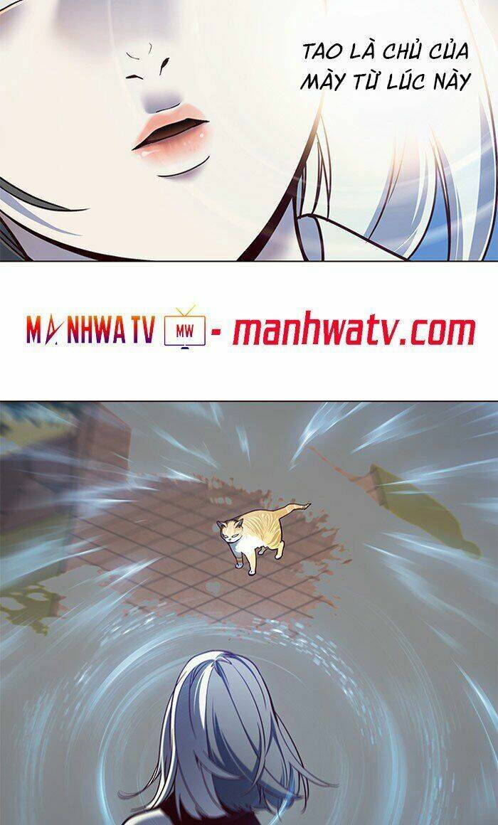 Hoá Thân Thành Mèo Chap 80 - Next Chap 81