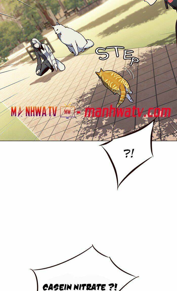 Hoá Thân Thành Mèo Chap 80 - Next Chap 81
