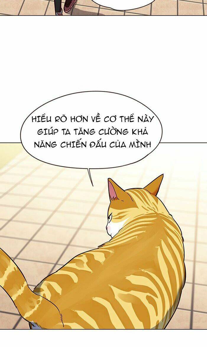 Hoá Thân Thành Mèo Chap 80 - Next Chap 81