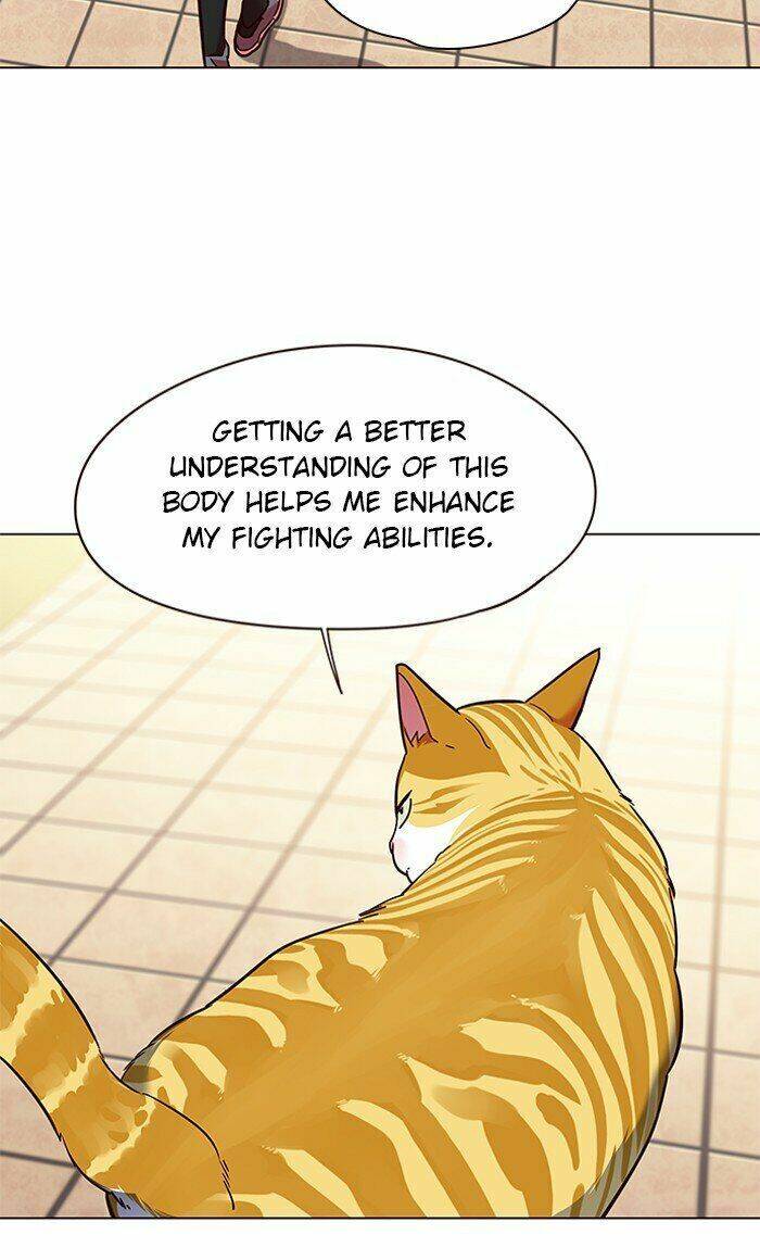 Hoá Thân Thành Mèo Chap 80 - Next Chap 81