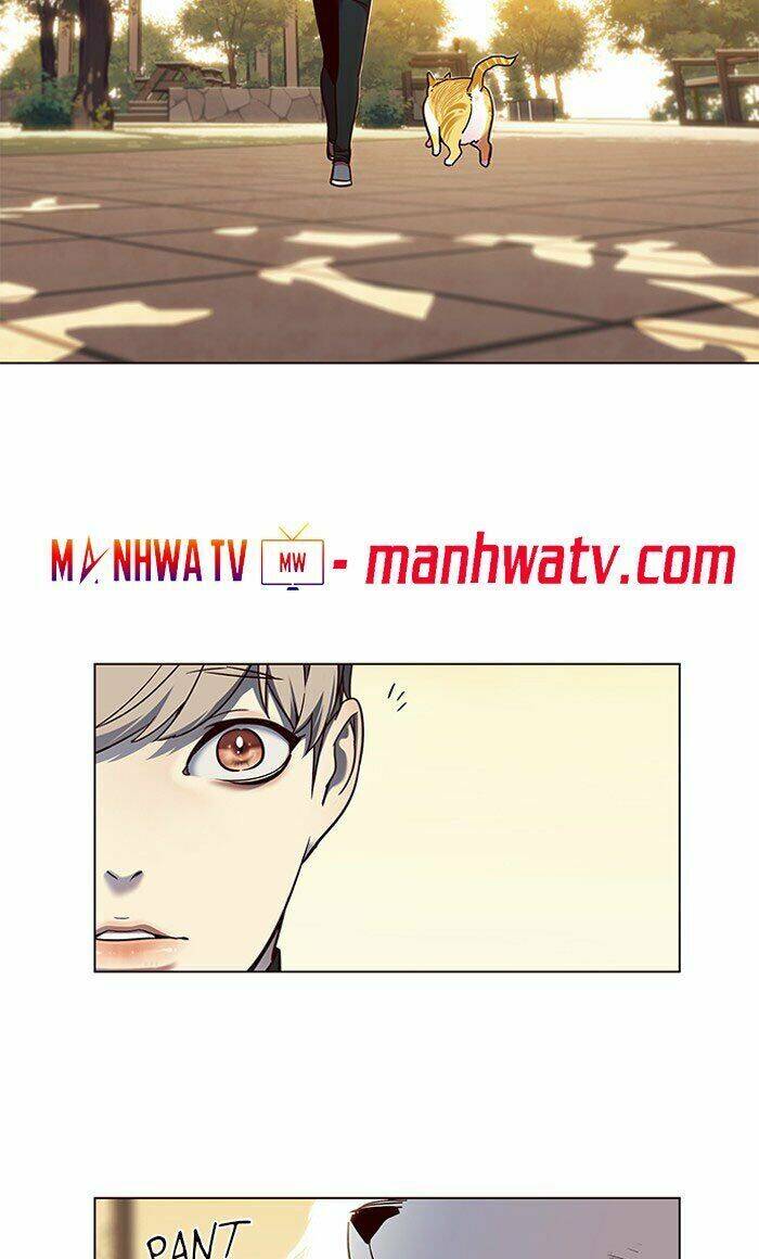 Hoá Thân Thành Mèo Chap 80 - Next Chap 81