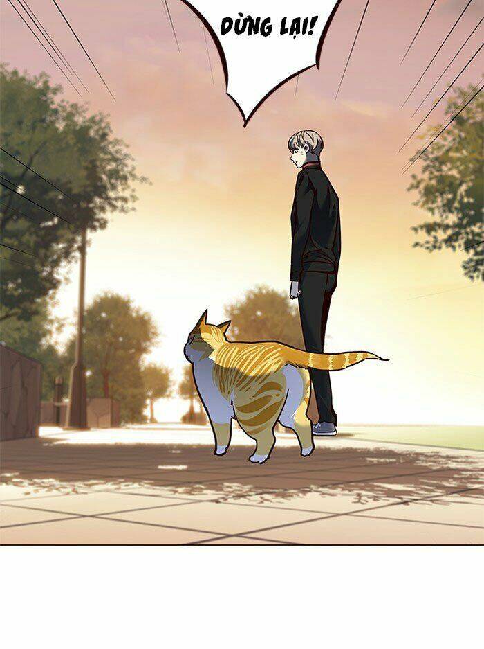 Hoá Thân Thành Mèo Chap 80 - Next Chap 81