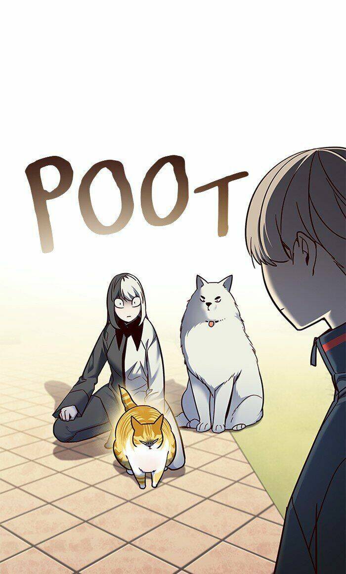 Hoá Thân Thành Mèo Chap 80 - Next Chap 81