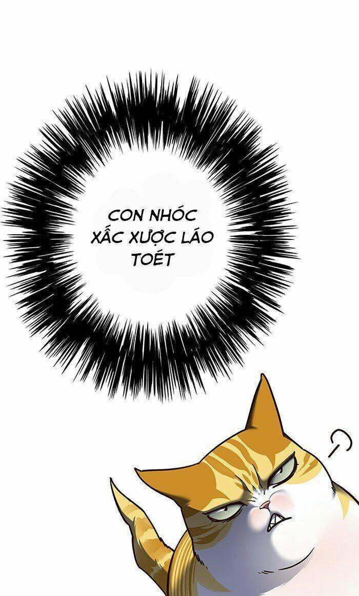 Hoá Thân Thành Mèo Chap 80 - Next Chap 81