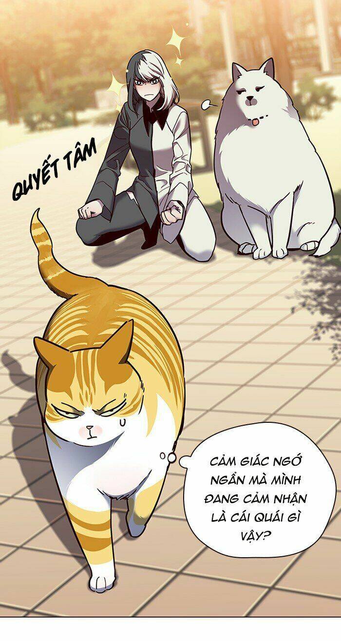Hoá Thân Thành Mèo Chap 81 - Next Chap 82