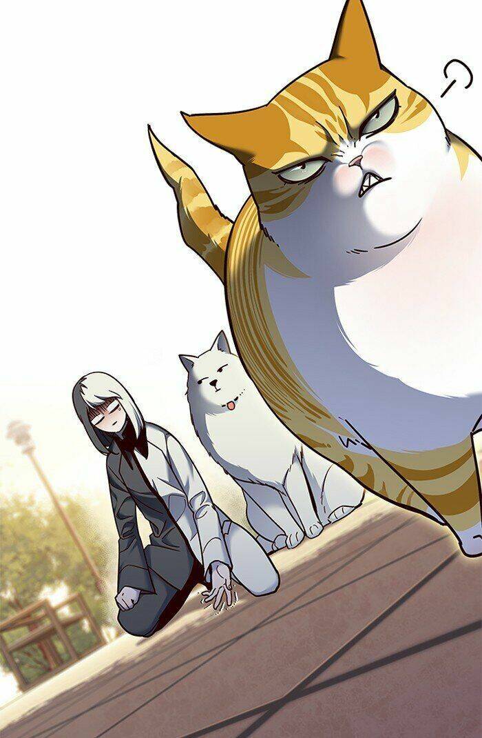 Hoá Thân Thành Mèo Chap 81 - Next Chap 82