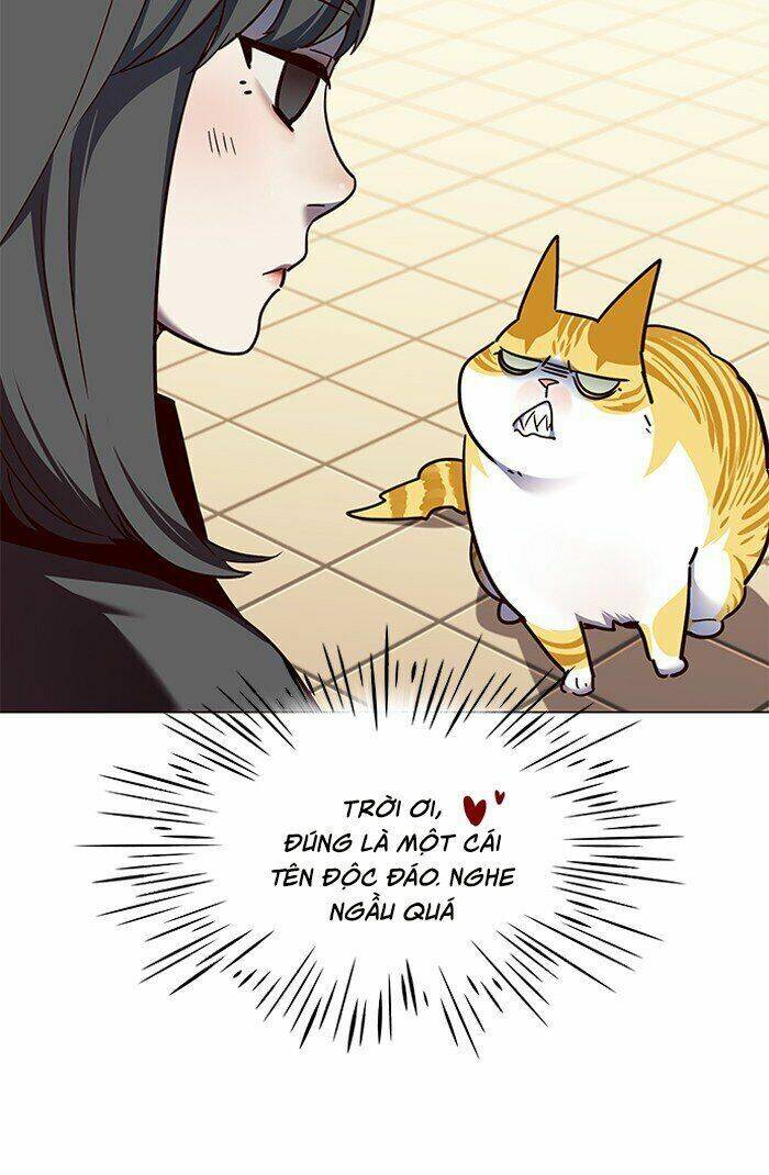 Hoá Thân Thành Mèo Chap 81 - Next Chap 82