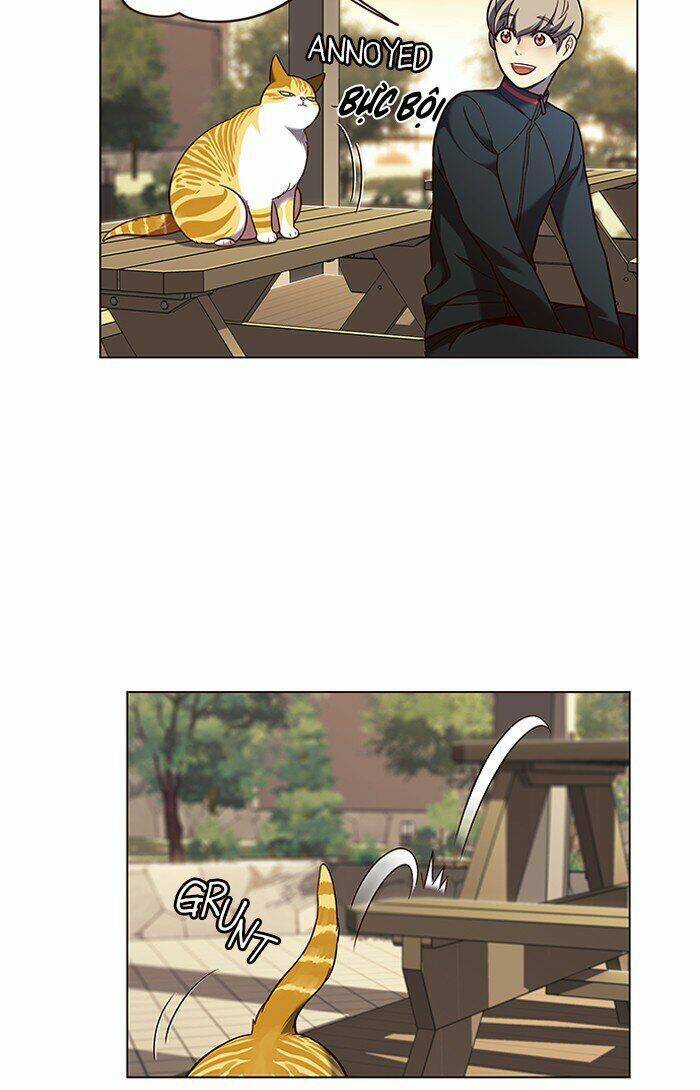 Hoá Thân Thành Mèo Chap 81 - Next Chap 82