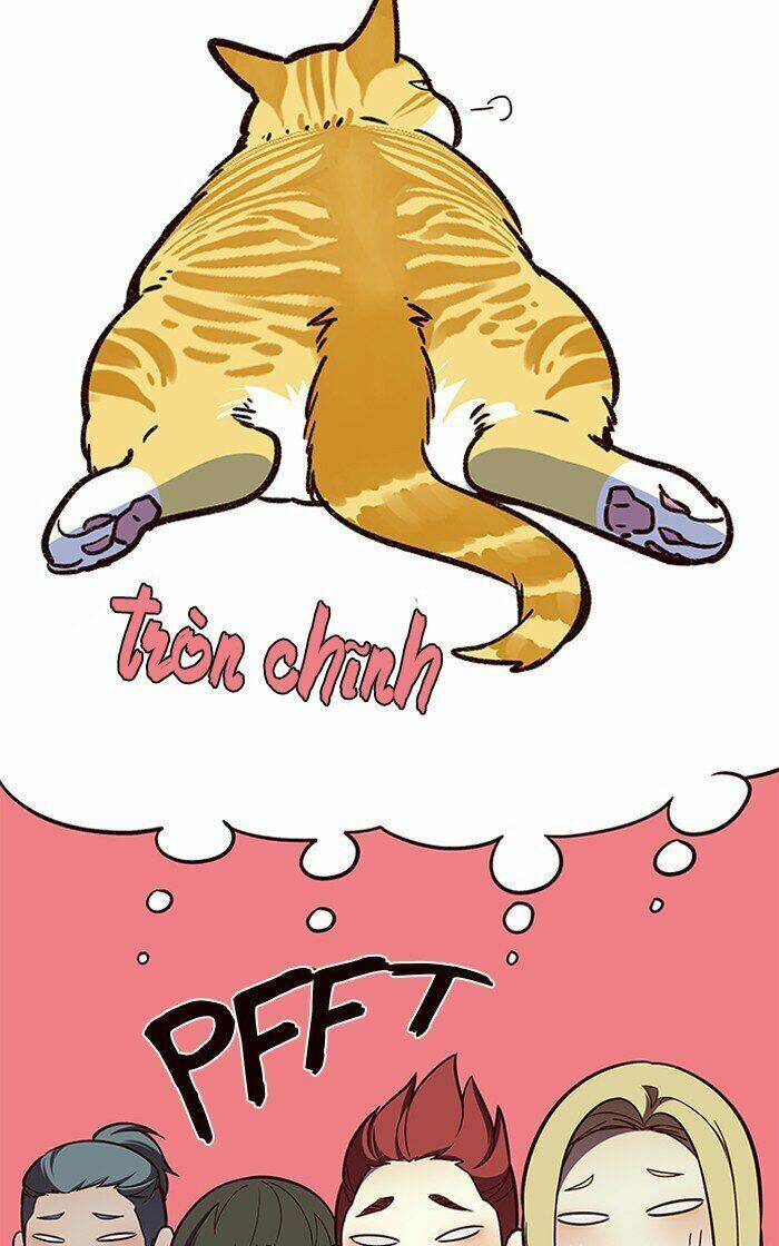 Hoá Thân Thành Mèo Chap 81 - Next Chap 82