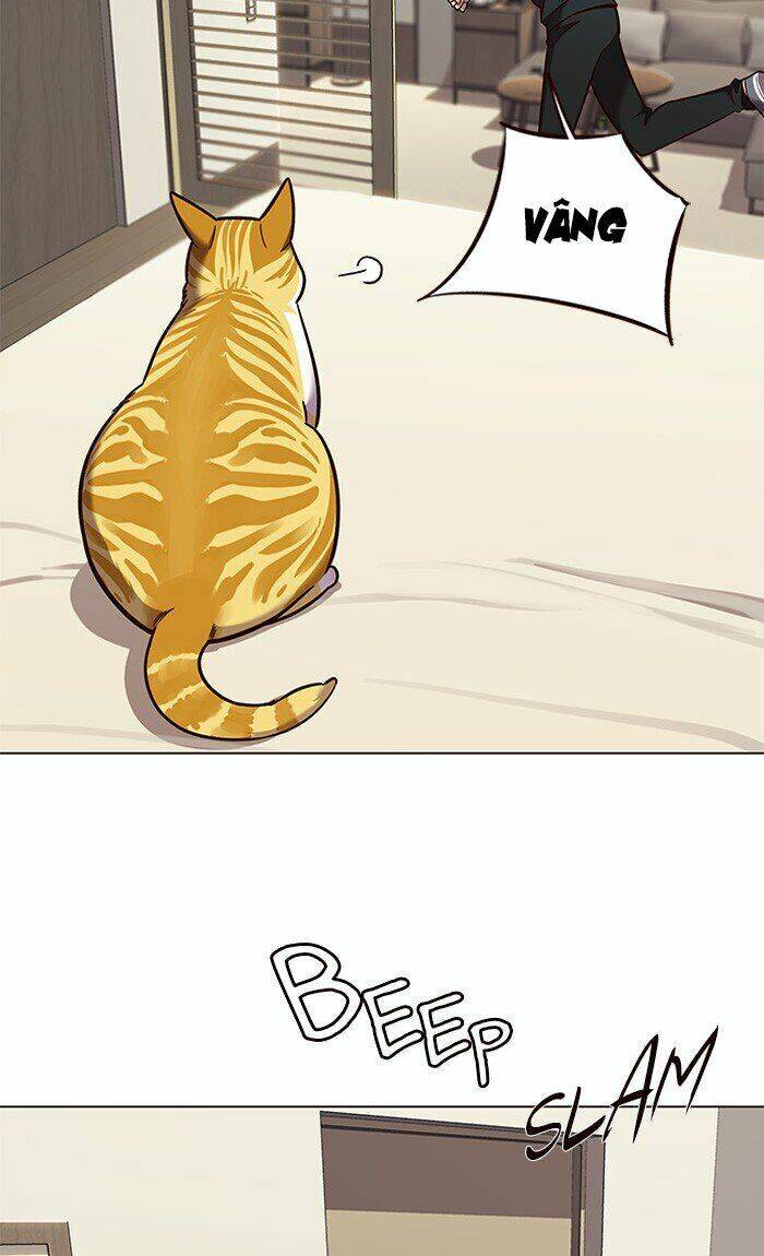 Hoá Thân Thành Mèo Chap 82 - Next Chap 83