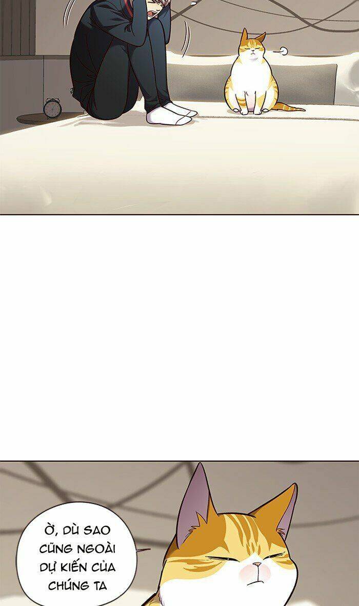 Hoá Thân Thành Mèo Chap 82 - Next Chap 83