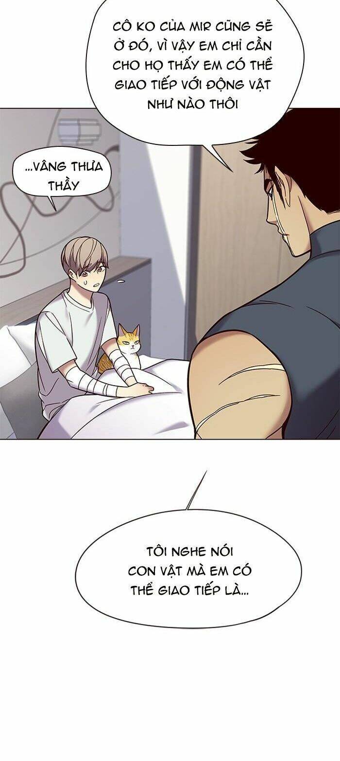 Hoá Thân Thành Mèo Chap 89 - Next Chap 90
