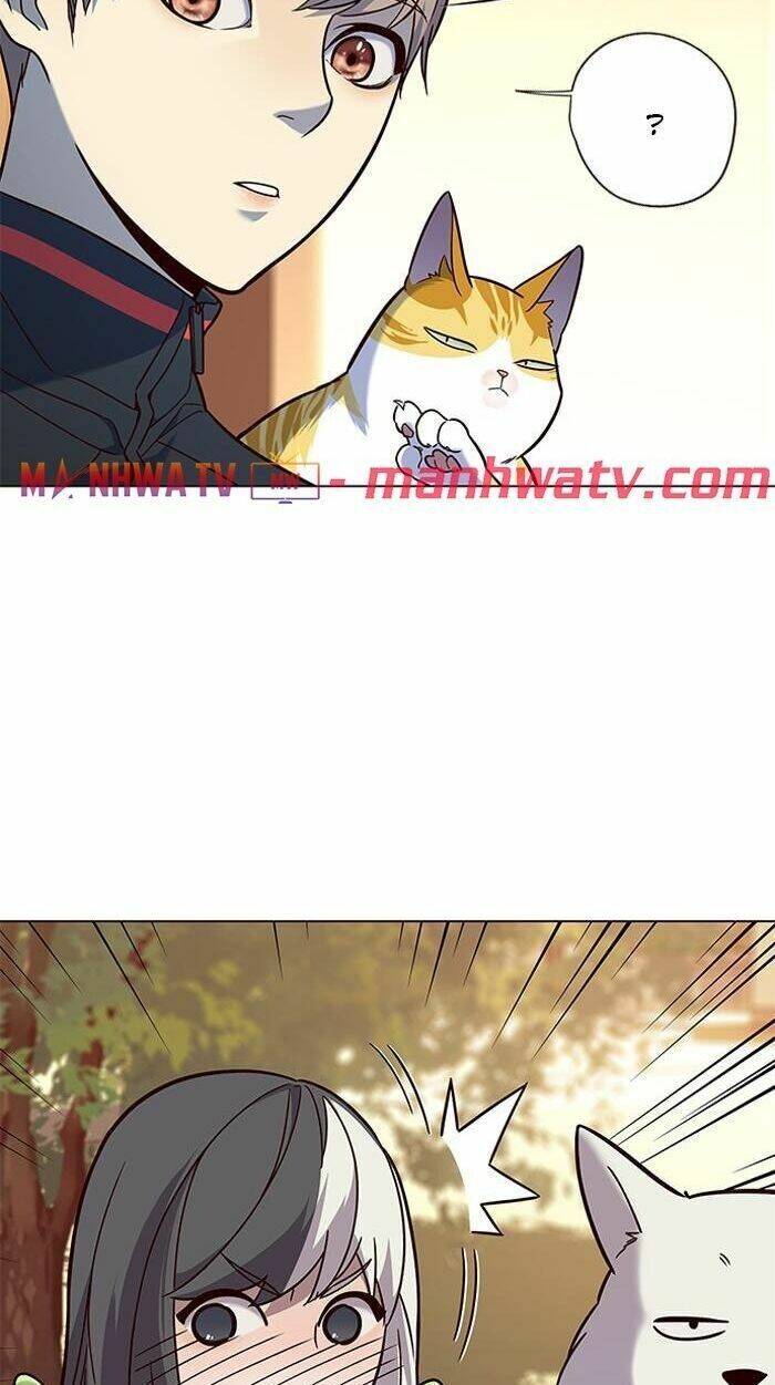 Hoá Thân Thành Mèo Chap 89 - Next Chap 90