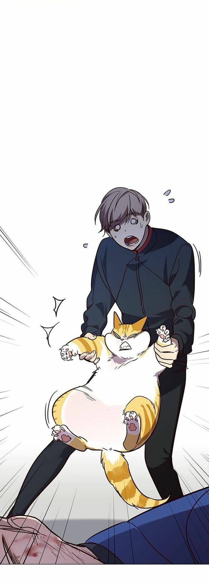 Hoá Thân Thành Mèo Chap 89 - Next Chap 90