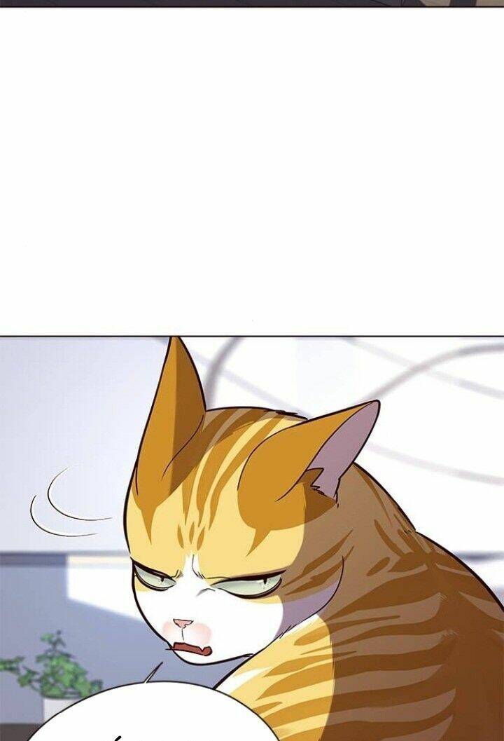 Hoá Thân Thành Mèo Chap 90 - Next Chap 91