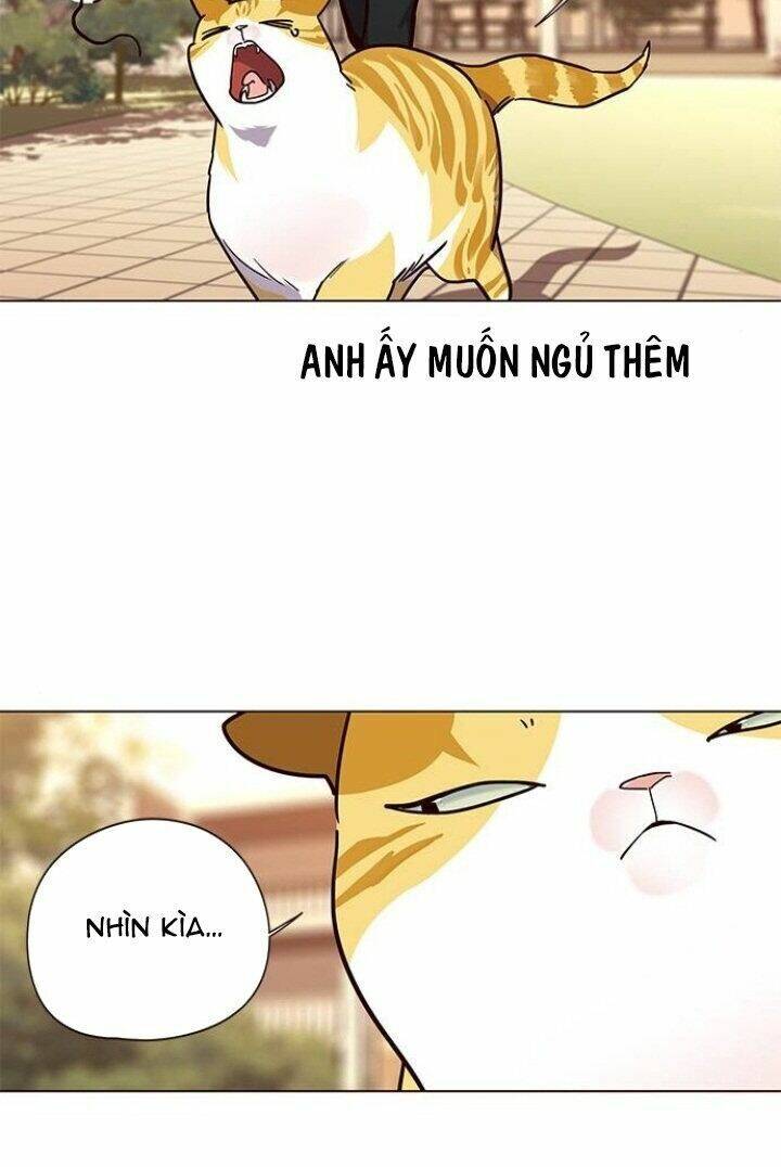 Hoá Thân Thành Mèo Chap 90 - Next Chap 91