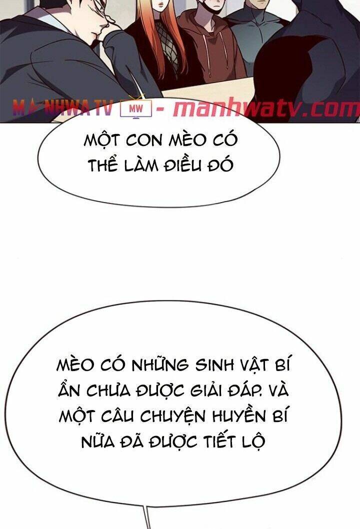 Hoá Thân Thành Mèo Chap 90 - Next Chap 91