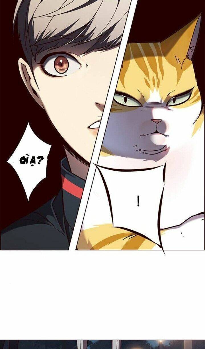 Hoá Thân Thành Mèo Chap 91 - Next Chap 92