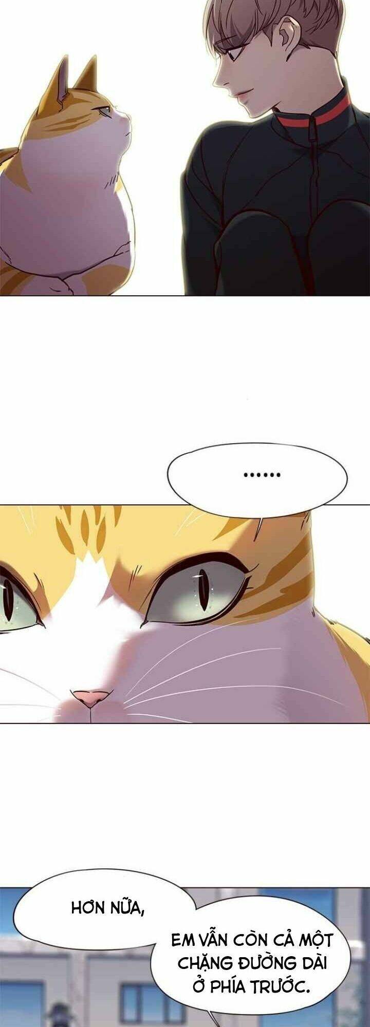 Hoá Thân Thành Mèo Chap 92 - Next Chap 93