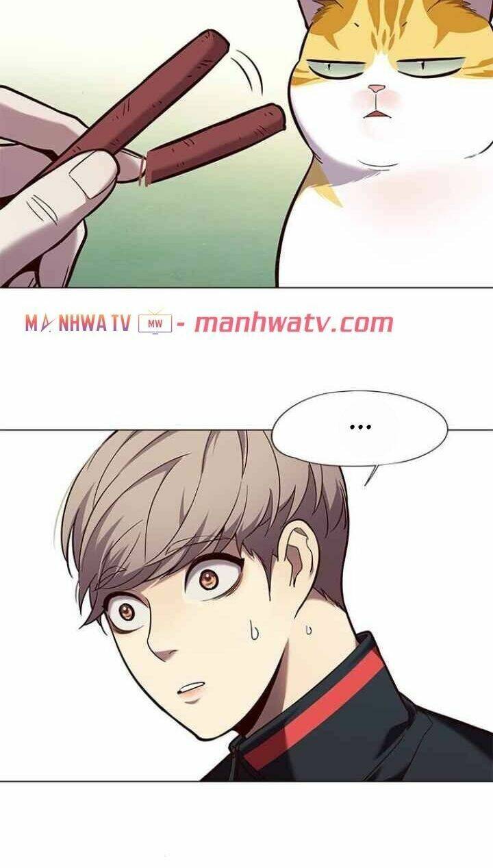 Hoá Thân Thành Mèo Chap 92 - Next Chap 93