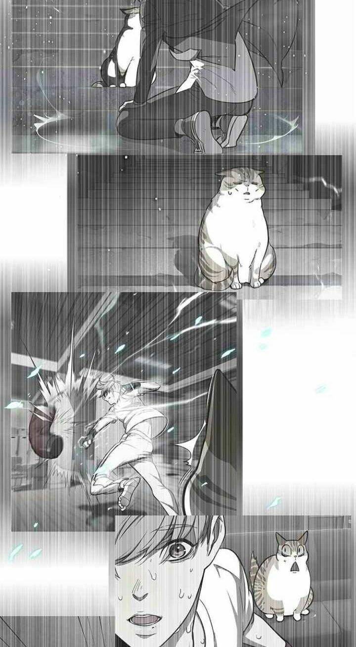 Hoá Thân Thành Mèo Chap 93 - Next Chap 94