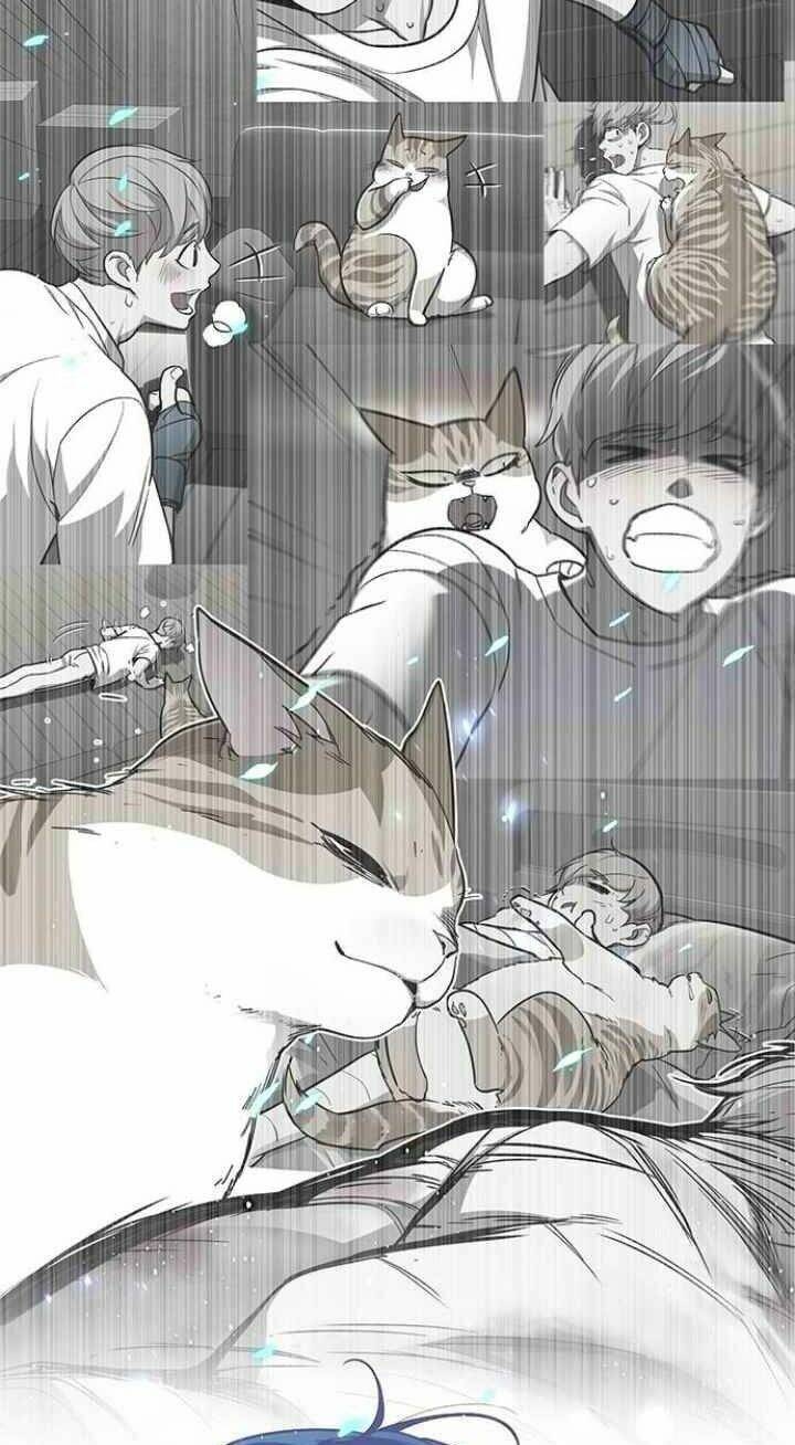 Hoá Thân Thành Mèo Chap 93 - Next Chap 94