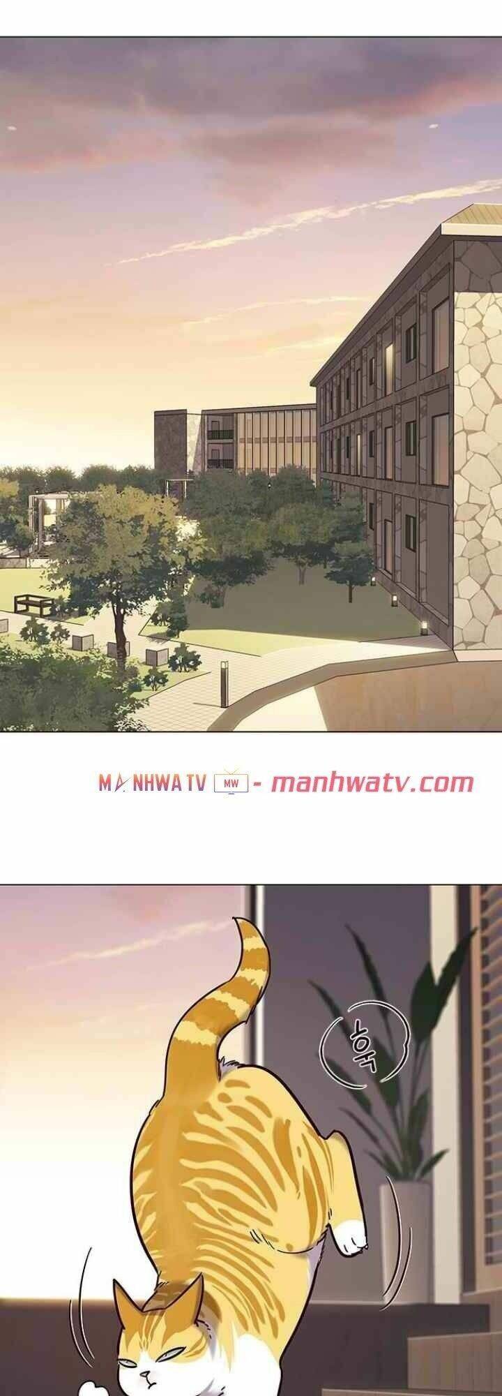 Hoá Thân Thành Mèo Chap 94 - Next Chap 95