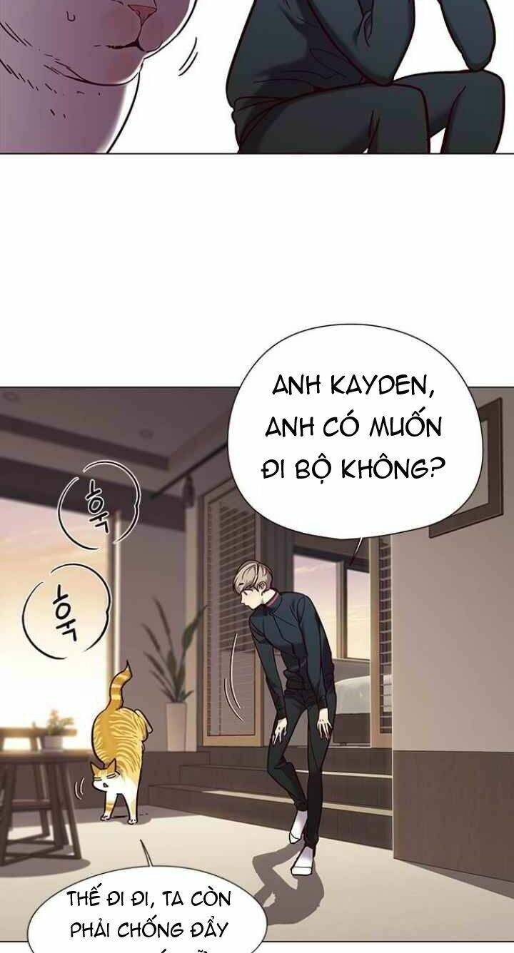 Hoá Thân Thành Mèo Chap 94 - Next Chap 95