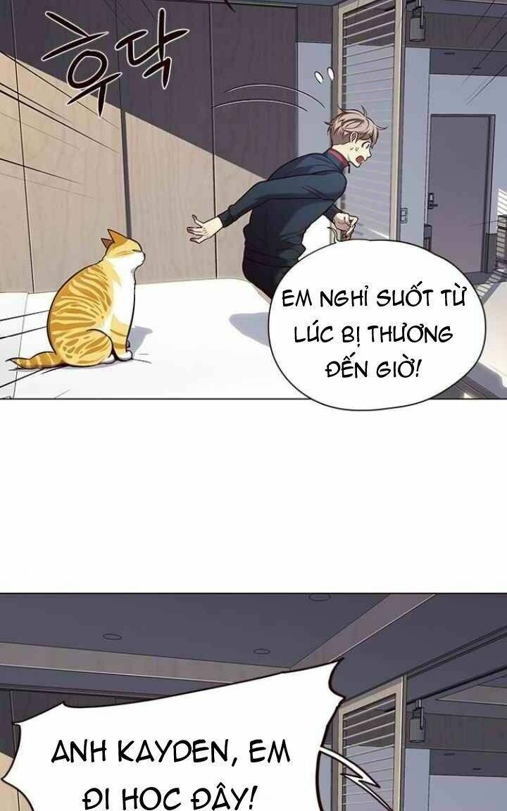 Hoá Thân Thành Mèo Chap 95 - Next Chap 96