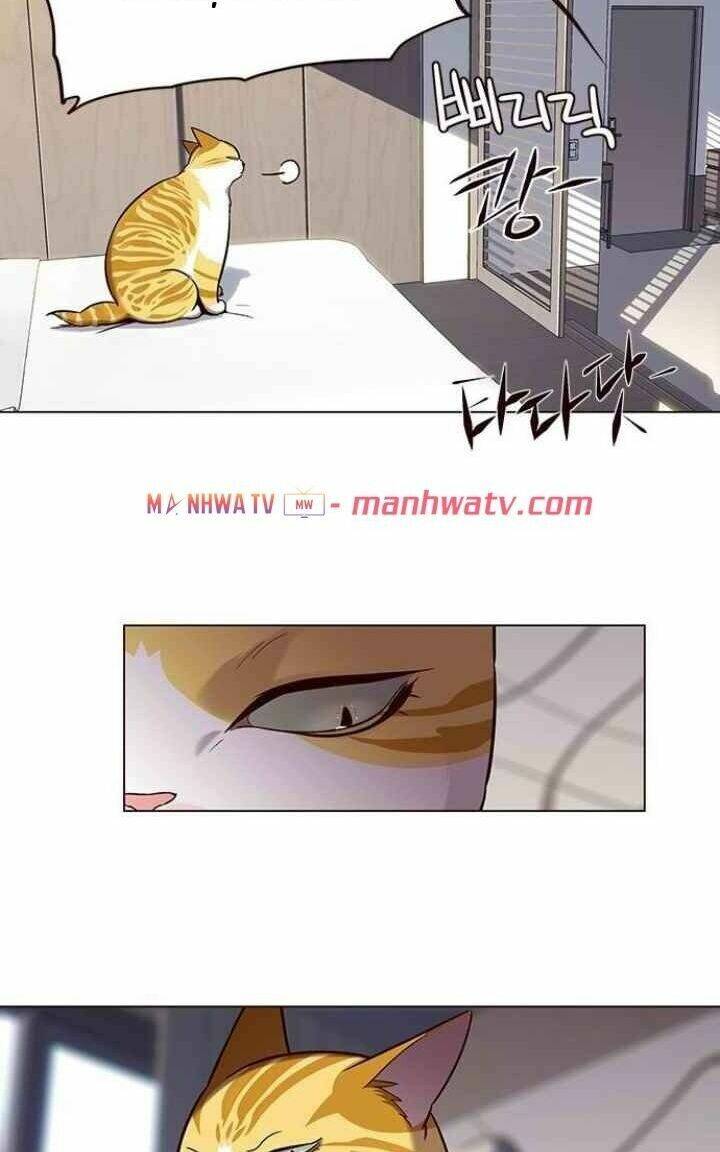 Hoá Thân Thành Mèo Chap 95 - Next Chap 96