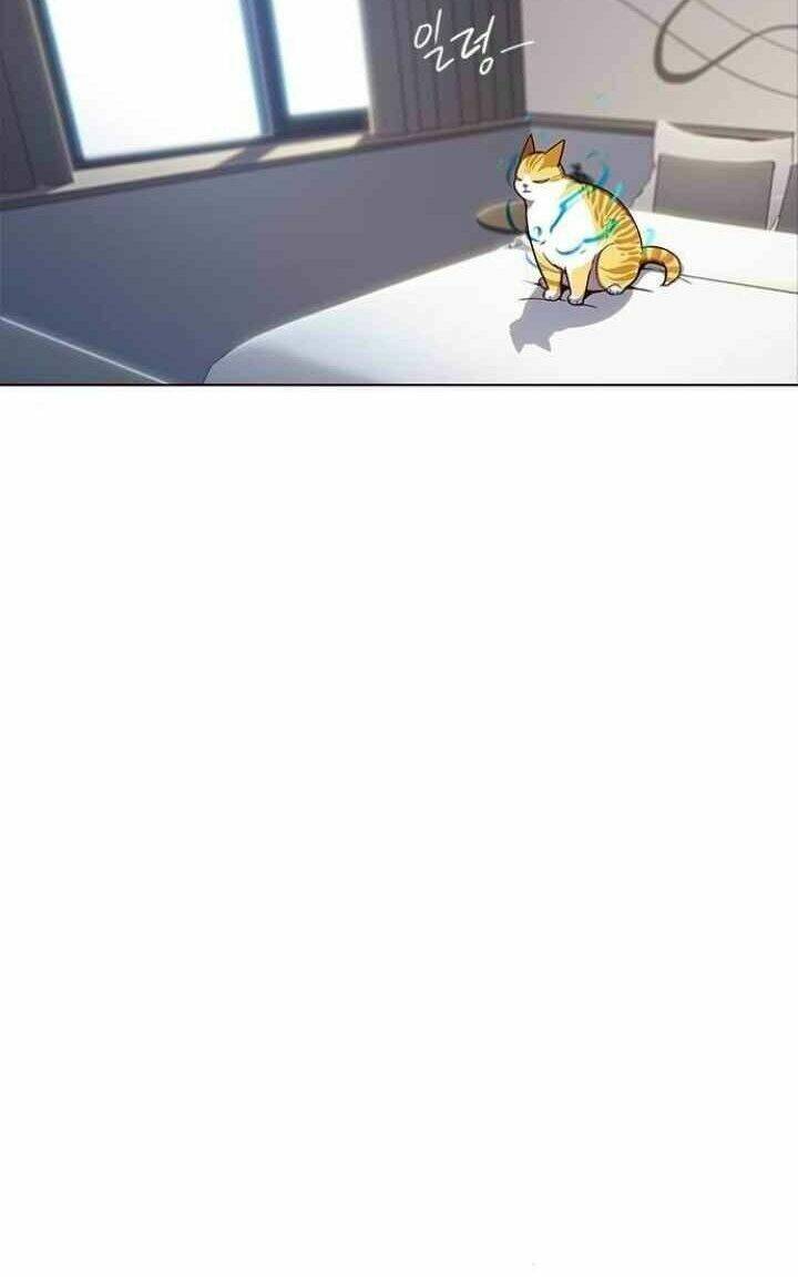 Hoá Thân Thành Mèo Chap 95 - Next Chap 96