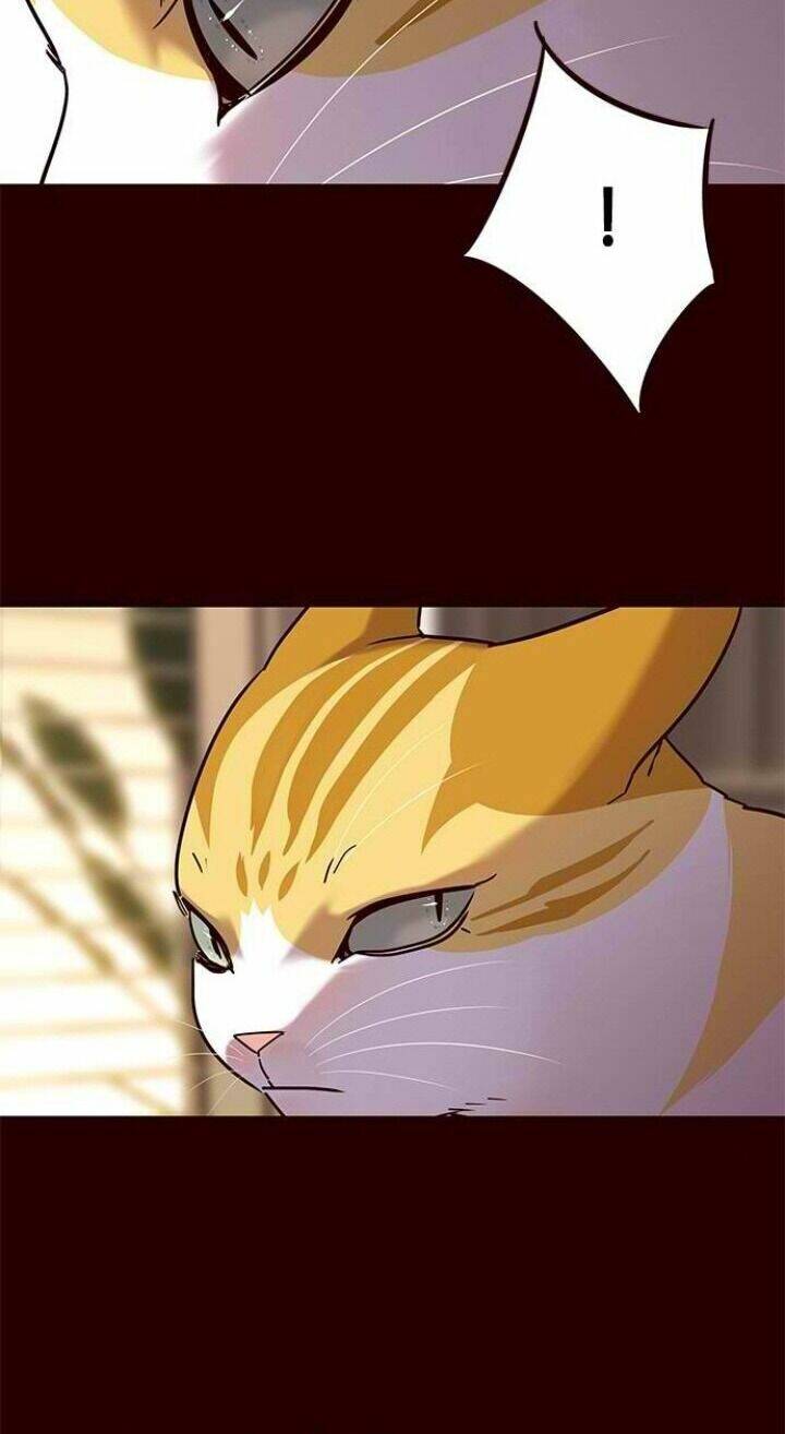 Hoá Thân Thành Mèo Chap 96 - Next Chap 97