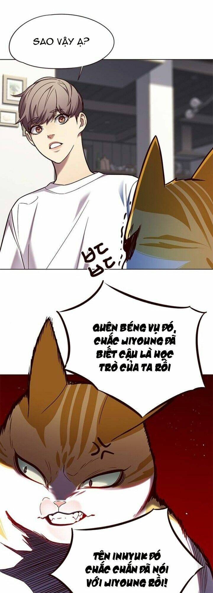 Hoá Thân Thành Mèo Chap 105 - Next Chap 106