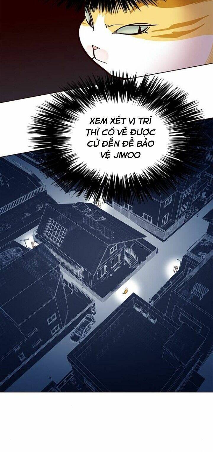 Hoá Thân Thành Mèo Chap 105 - Next Chap 106
