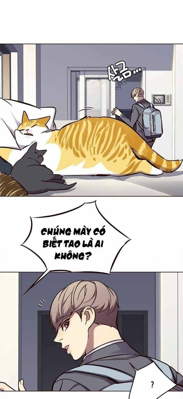 Hoá Thân Thành Mèo Chap 100 - Next Chap 101