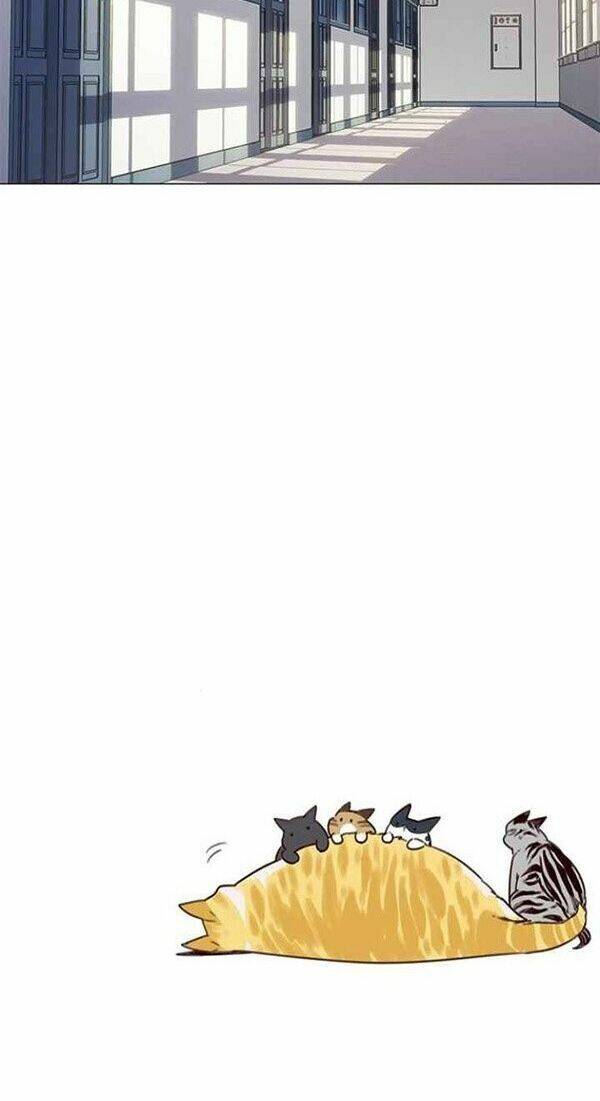 Hoá Thân Thành Mèo Chap 100 - Next Chap 101