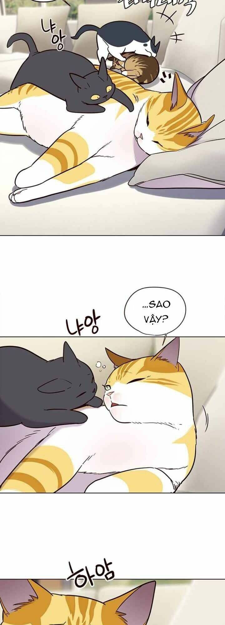 Hoá Thân Thành Mèo Chap 101 - Next Chap 102
